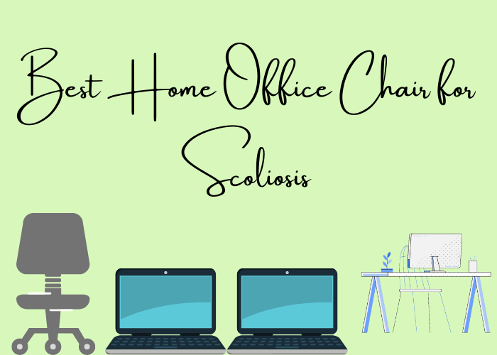 Best Home Office Chair for Scoliosis