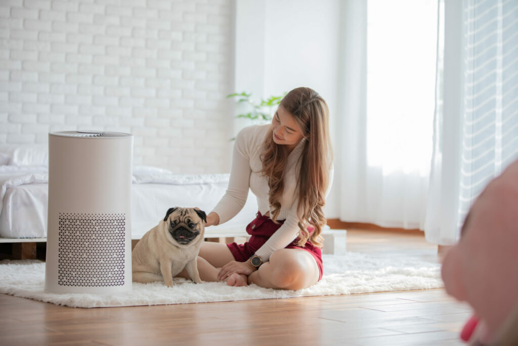 air purifier